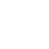 Palm & Plenty