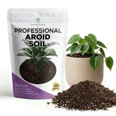 Main image — wellness product