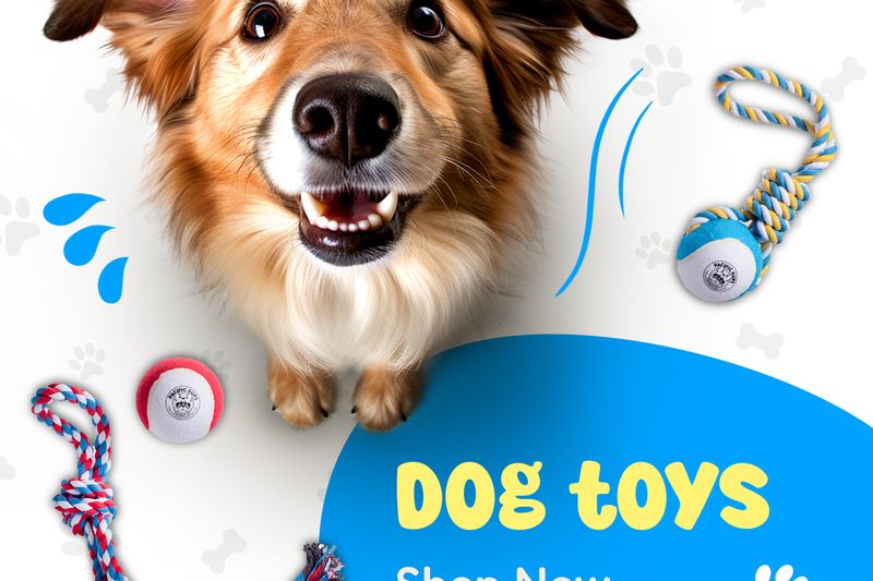 Pacific Pups: store home page