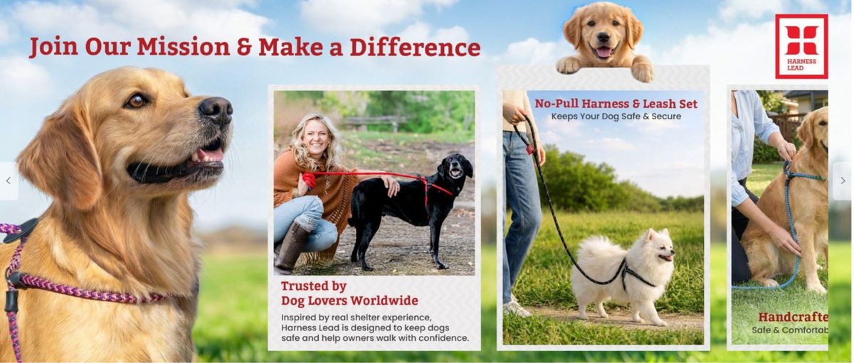 Harness Lead hero